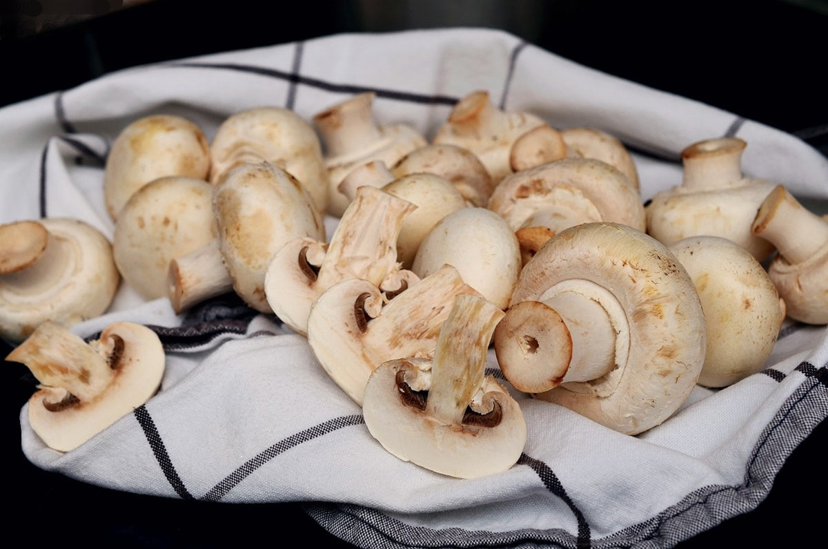 Quale vino bere con i funghi?