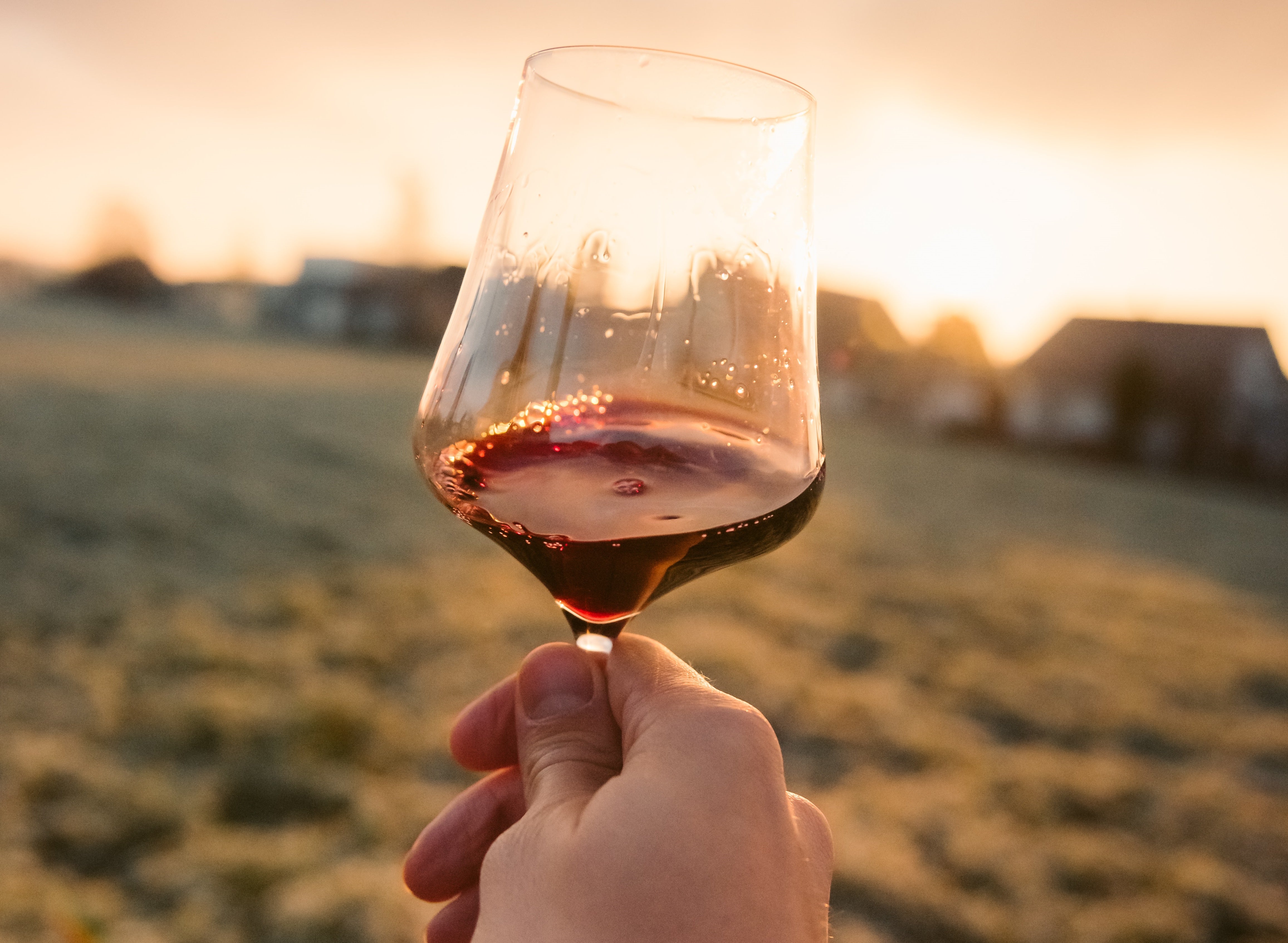 Qual è la differenza tra DOC e IGT?