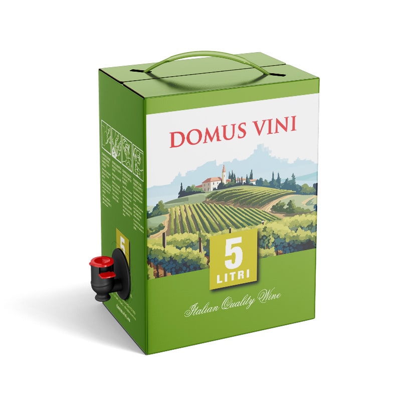 5L Bianco Italiano Veneto 12%