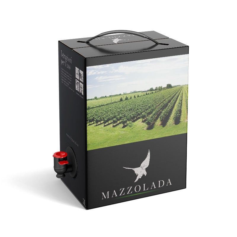 5L Traminer Aromatico IGT Veneto Orientale 12%