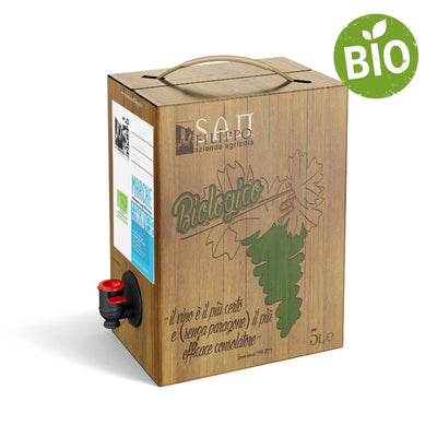 5L Sangiovese IGT Marche BIO 12,5%