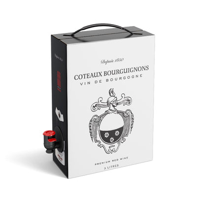 3L Colombard Sauvignon Vin de France JP. Chanet 11.5%